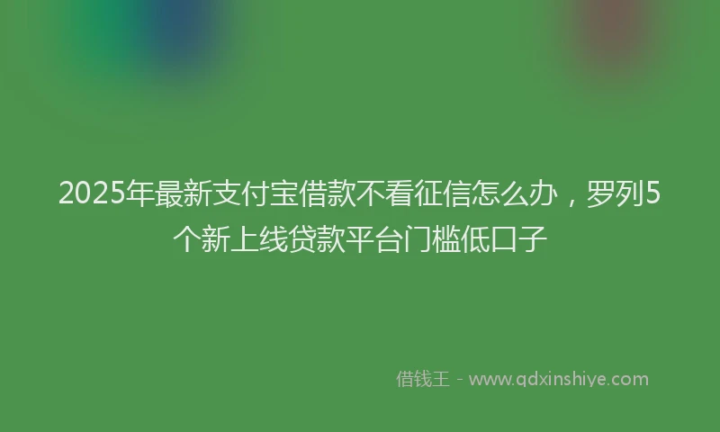 2025年最新支付宝借款不看征信怎么办，罗列5个新上线贷款平台门槛低口子