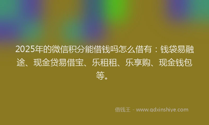 2025年的微信积分能借钱吗怎么借有：钱袋易融途、现金贷易借宝、乐租租、乐享购、现金钱包等。