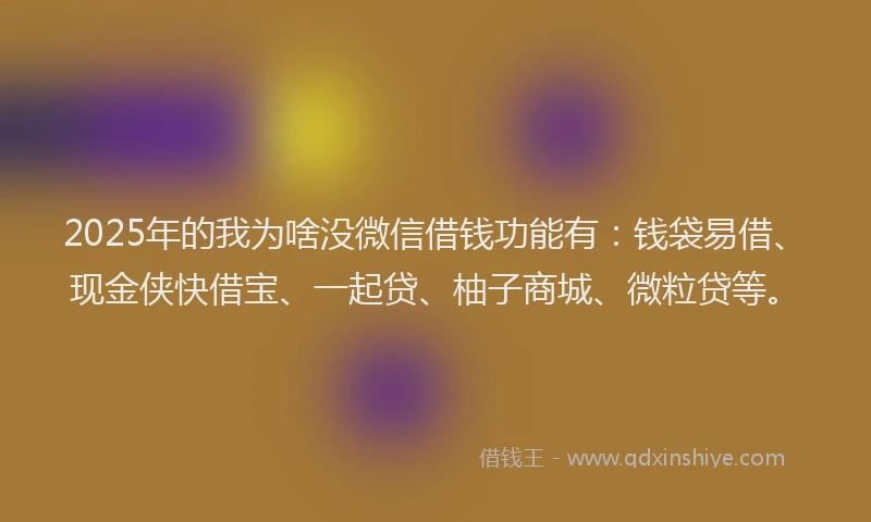 2025年的我为啥没微信借钱功能有：钱袋易借、现金侠快借宝、一起贷、柚子商城、微粒贷等。