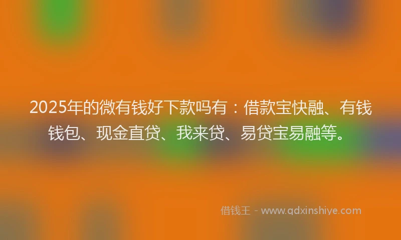 2025年的微有钱好下款吗有：借款宝快融、有钱钱包、现金直贷、我来贷、易贷宝易融等。
