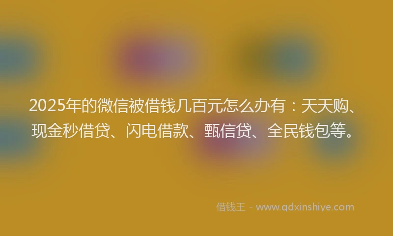 2025年的微信被借钱几百元怎么办有：天天购、现金秒借贷、闪电借款、甄信贷、全民钱包等。