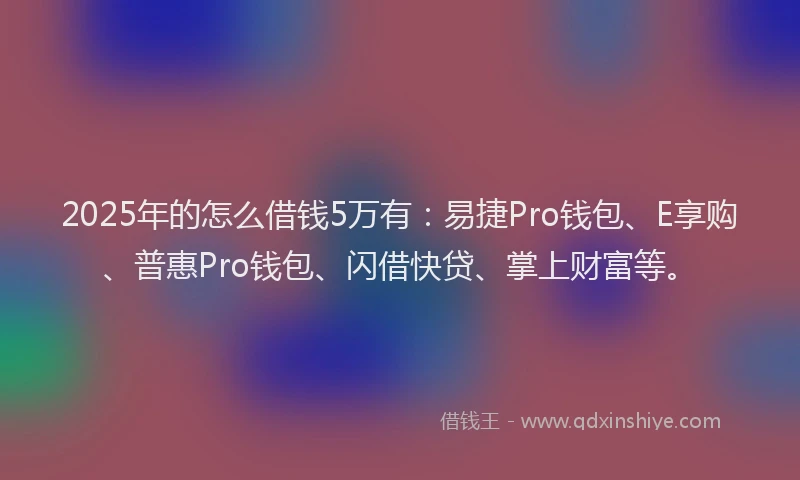 2025年的怎么借钱5万有：易捷Pro钱包、E享购、普惠Pro钱包、闪借快贷、掌上财富等。