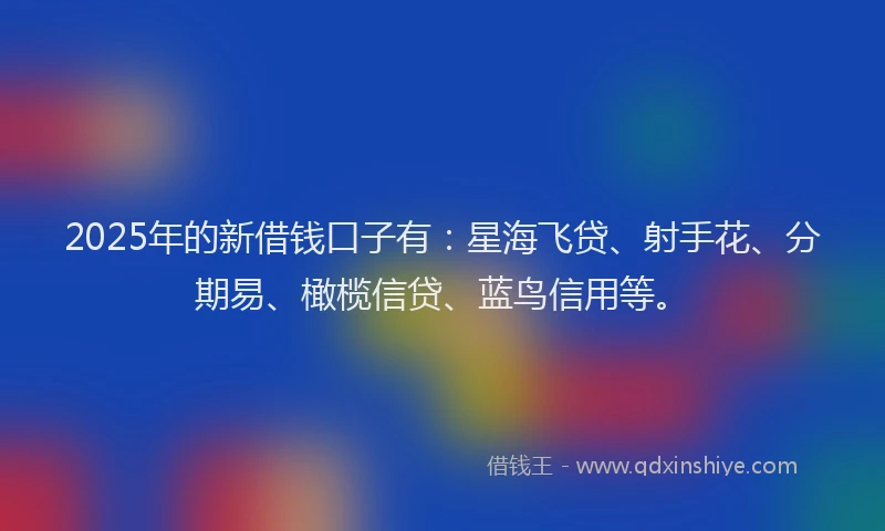 2025年的新借钱口子有：星海飞贷、射手花、分期易、橄榄信贷、蓝鸟信用等。