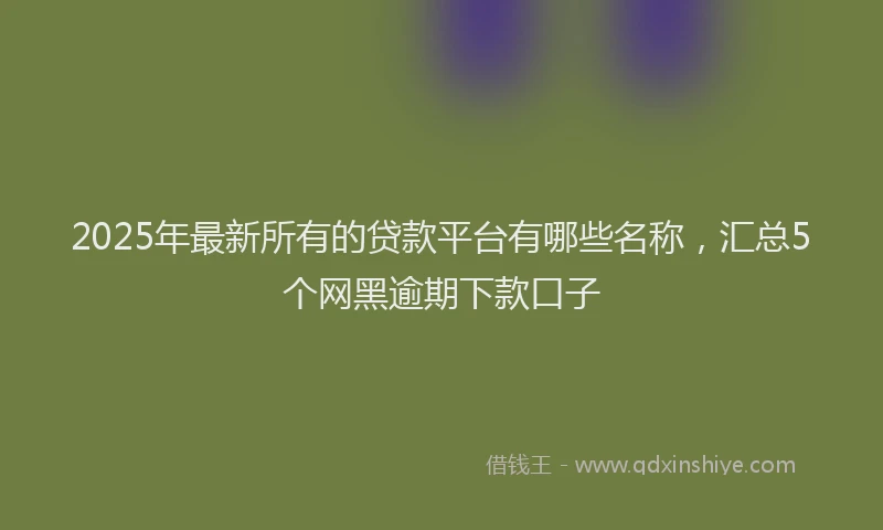 2025年最新所有的贷款平台有哪些名称，汇总5个网黑逾期下款口子