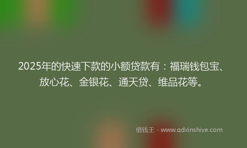2025年的快速下款的小额贷款有：福瑞钱包宝、放心花、金银花、通天贷、维品花等。