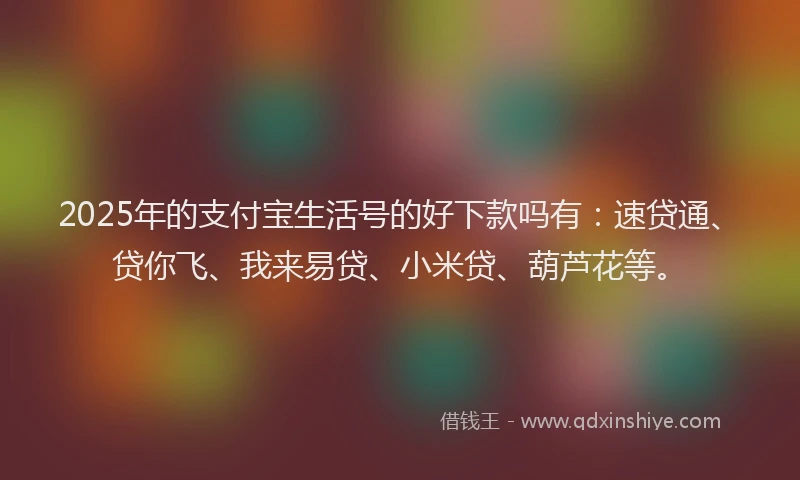 2025年的支付宝生活号的好下款吗有：速贷通、贷你飞、我来易贷、小米贷、葫芦花等。