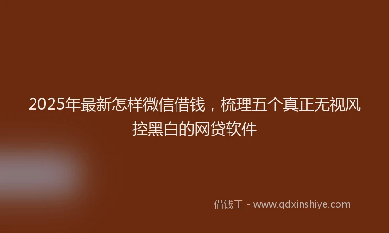 2025年最新怎样微信借钱，梳理五个真正无视风控黑白的网贷软件