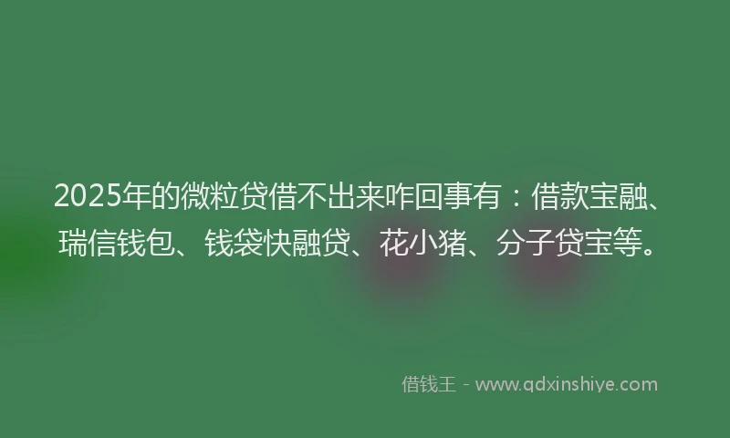 2025年的微粒贷借不出来咋回事有：借款宝融、瑞信钱包、钱袋快融贷、花小猪、分子贷宝等。