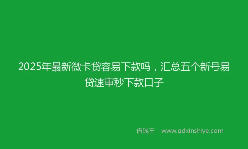 2025年最新微卡贷容易下款吗，汇总五个新号易贷速审秒下款口子