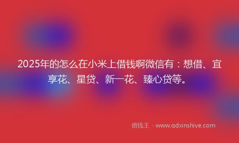 2025年的怎么在小米上借钱啊微信有：想借、宜享花、星贷、新一花、臻心贷等。