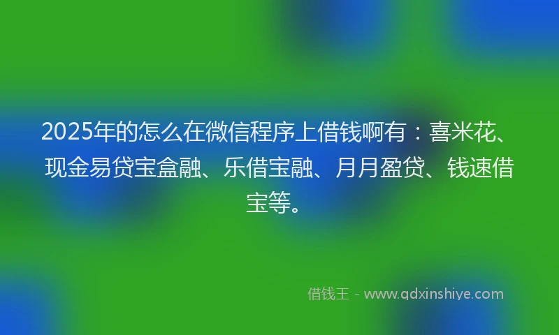 2025年的怎么在微信程序上借钱啊有：喜米花、现金易贷宝盒融、乐借宝融、月月盈贷、钱速借宝等。