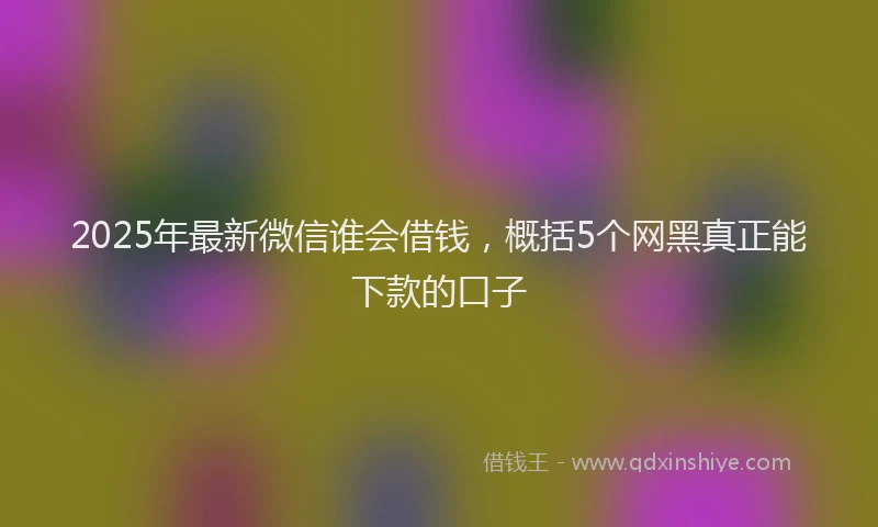 2025年最新微信谁会借钱，概括5个网黑真正能下款的口子