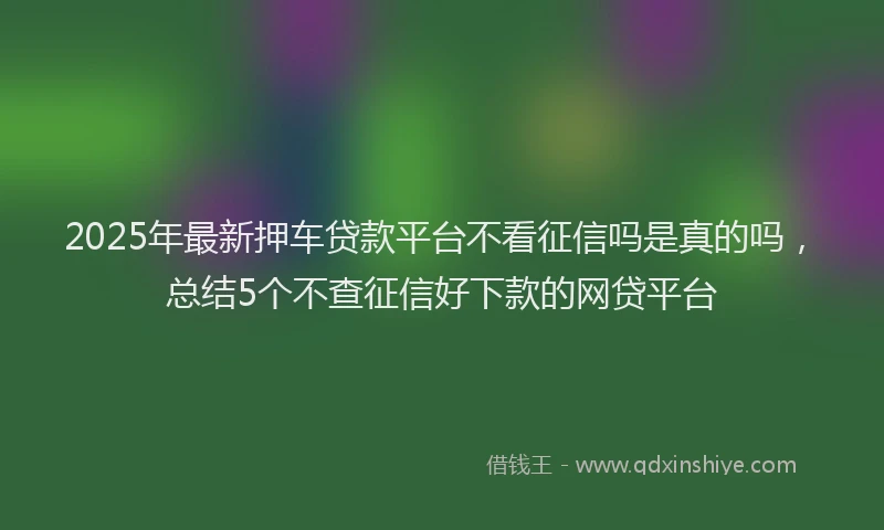 2025年最新押车贷款平台不看征信吗是真的吗，总结5个不查征信好下款的网贷平台