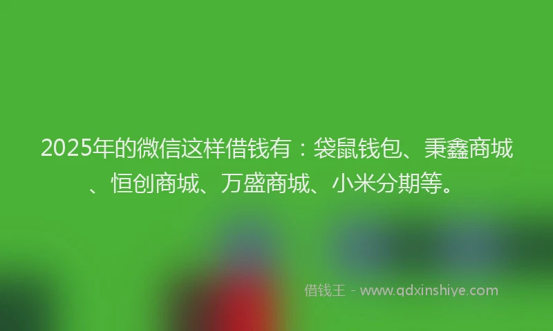 2025年的微信这样借钱有：袋鼠钱包、秉鑫商城、恒创商城、万盛商城、小米分期等。