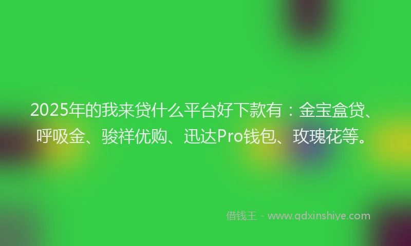 2025年的我来贷什么平台好下款有：金宝盒贷、呼吸金、骏祥优购、迅达Pro钱包、玫瑰花等。