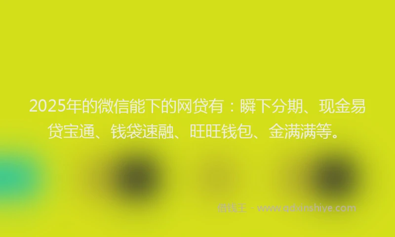 2025年的微信能下的网贷有：瞬下分期、现金易贷宝通、钱袋速融、旺旺钱包、金满满等。