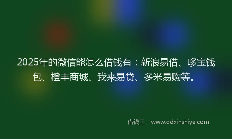 2025年的微信能怎么借钱有：新浪易借、哆宝钱包、橙丰商城、我来易贷、多米易购等。