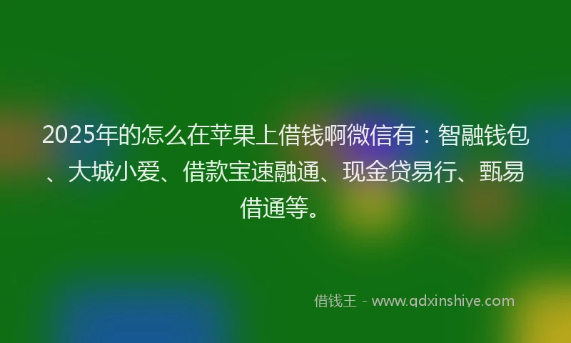 2025年的怎么在苹果上借钱啊微信有：智融钱包、大城小爱、借款宝速融通、现金贷易行、甄易借通等。