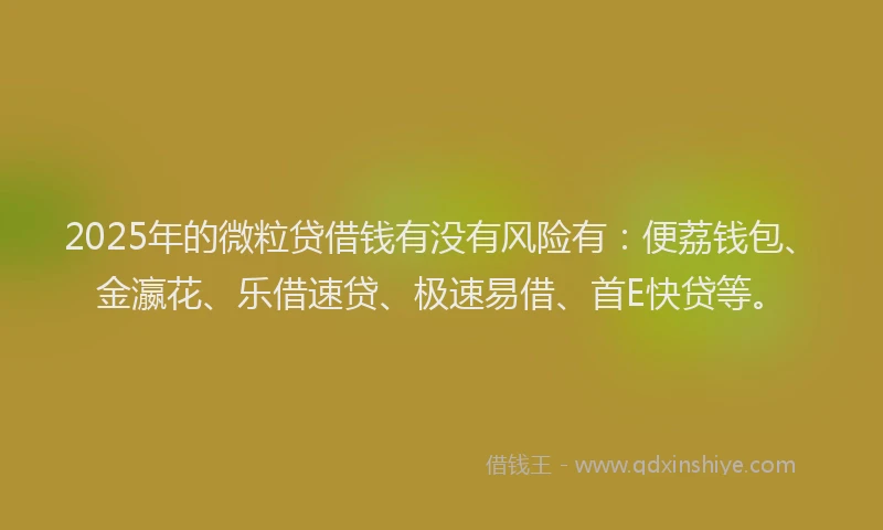 2025年的微粒贷借钱有没有风险有：便荔钱包、金瀛花、乐借速贷、极速易借、首E快贷等。