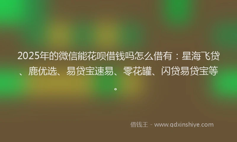 2025年的微信能花呗借钱吗怎么借有：星海飞贷、鹿优选、易贷宝速易、零花罐、闪贷易贷宝等。