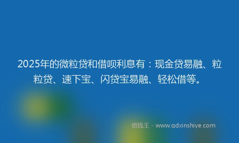 2025年的微粒贷和借呗利息有：现金贷易融、粒粒贷、速下宝、闪贷宝易融、轻松借等。