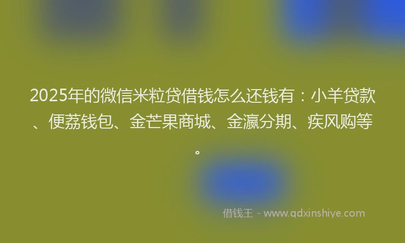 2025年的微信米粒贷借钱怎么还钱有：小羊贷款、便荔钱包、金芒果商城、金瀛分期、疾风购等。