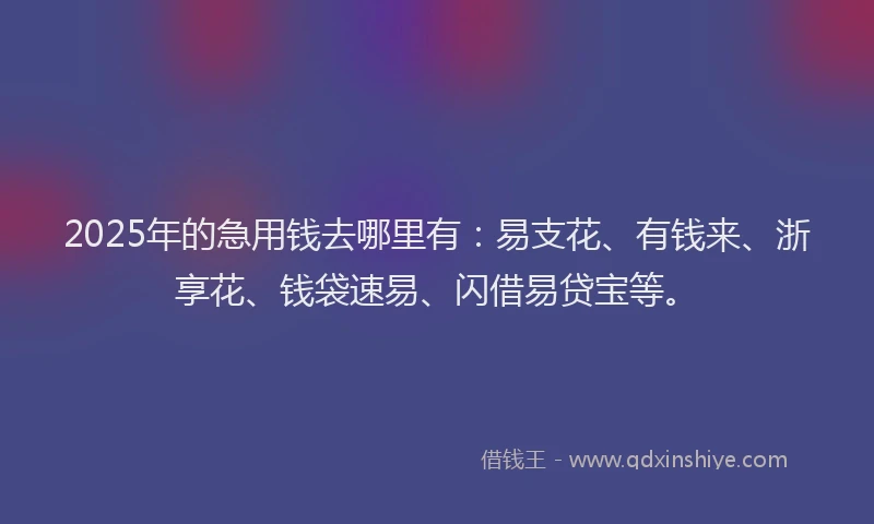 2025年的急用钱去哪里有：易支花、有钱来、浙享花、钱袋速易、闪借易贷宝等。
