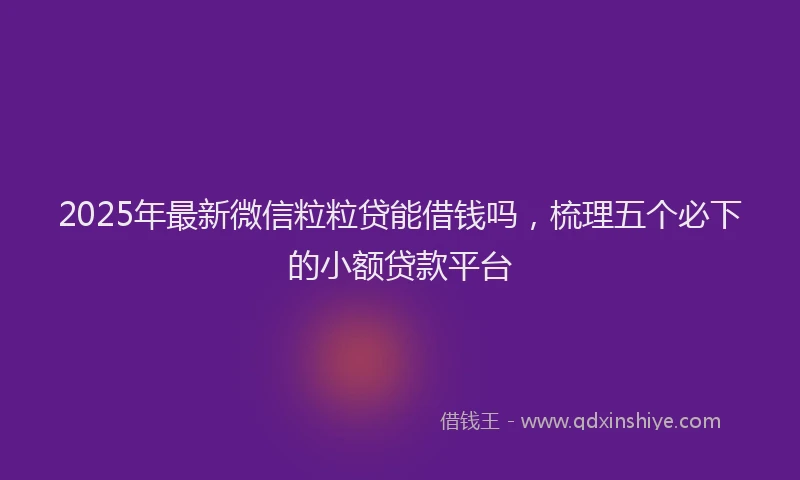2025年最新微信粒粒贷能借钱吗，梳理五个必下的小额贷款平台
