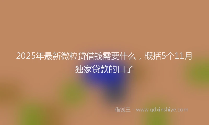 2025年最新微粒贷借钱需要什么，概括5个11月独家贷款的口子