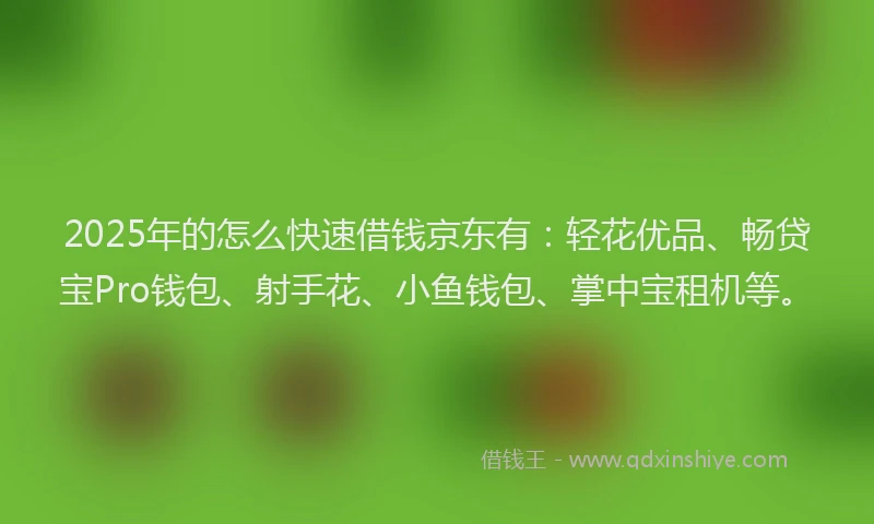 2025年的怎么快速借钱京东有：轻花优品、畅贷宝Pro钱包、射手花、小鱼钱包、掌中宝租机等。