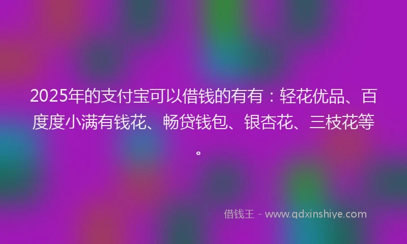 2025年的支付宝可以借钱的有有：轻花优品、百度度小满有钱花、畅贷钱包、银杏花、三枝花等。