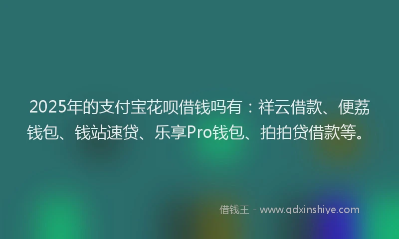 2025年的支付宝花呗借钱吗有：祥云借款、便荔钱包、钱站速贷、乐享Pro钱包、拍拍贷借款等。
