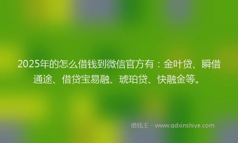 2025年的怎么借钱到微信官方有：金叶贷、瞬借通途、借贷宝易融、琥珀贷、快融金等。