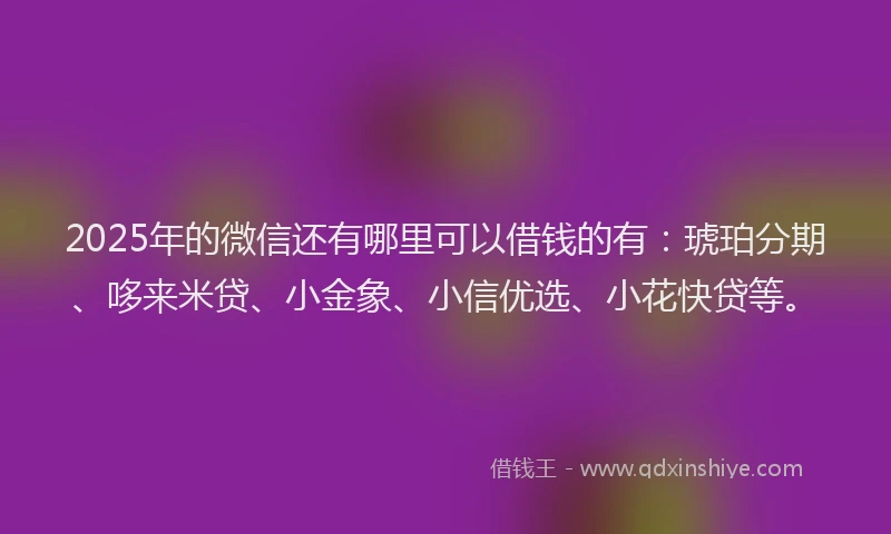 2025年的微信还有哪里可以借钱的有：琥珀分期、哆来米贷、小金象、小信优选、小花快贷等。