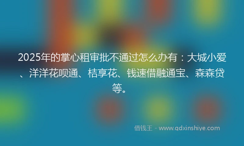 2025年的掌心租审批不通过怎么办有：大城小爱、洋洋花呗通、桔享花、钱速借融通宝、森森贷等。