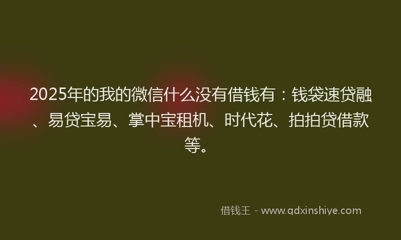 2025年的我的微信什么没有借钱有：钱袋速贷融、易贷宝易、掌中宝租机、时代花、拍拍贷借款等。