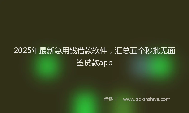 2025年最新急用钱借款软件，汇总五个秒批无面签贷款app