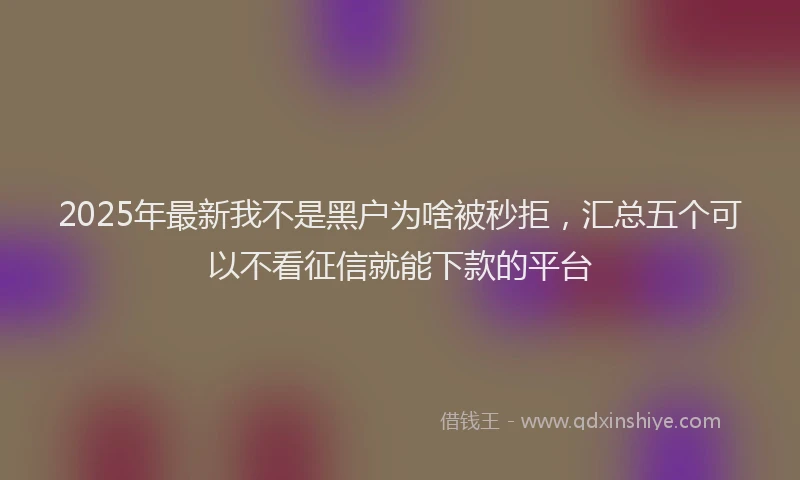 2025年最新我不是黑户为啥被秒拒，汇总五个可以不看征信就能下款的平台