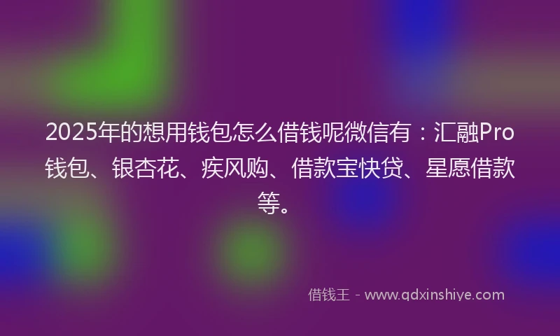 2025年的想用钱包怎么借钱呢微信有：汇融Pro钱包、银杏花、疾风购、借款宝快贷、星愿借款等。