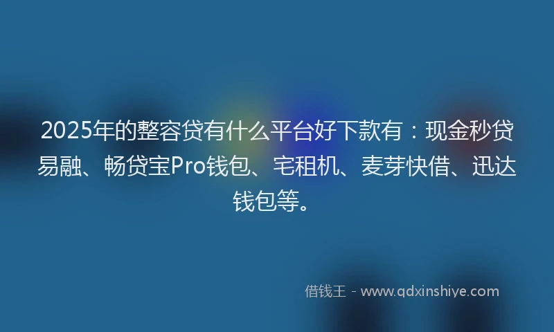 2025年的整容贷有什么平台好下款有：现金秒贷易融、畅贷宝Pro钱包、宅租机、麦芽快借、迅达钱包等。