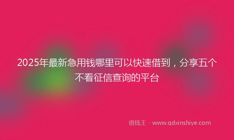 2025年最新急用钱哪里可以快速借到，分享五个不看征信查询的平台