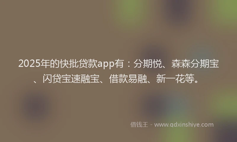 2025年的快批贷款app有：分期悦、森森分期宝、闪贷宝速融宝、借款易融、新一花等。
