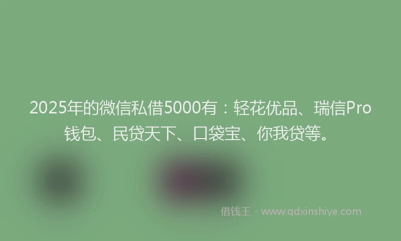 2025年的微信私借5000有：轻花优品、瑞信Pro钱包、民贷天下、口袋宝、你我贷等。