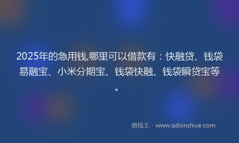 2025年的急用钱,哪里可以借款有：快融贷、钱袋易融宝、小米分期宝、钱袋快融、钱袋瞬贷宝等。