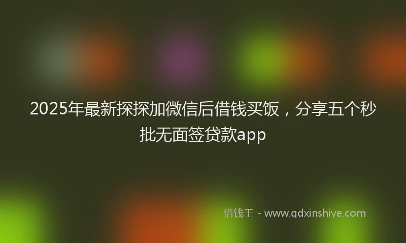 2025年最新探探加微信后借钱买饭，分享五个秒批无面签贷款app