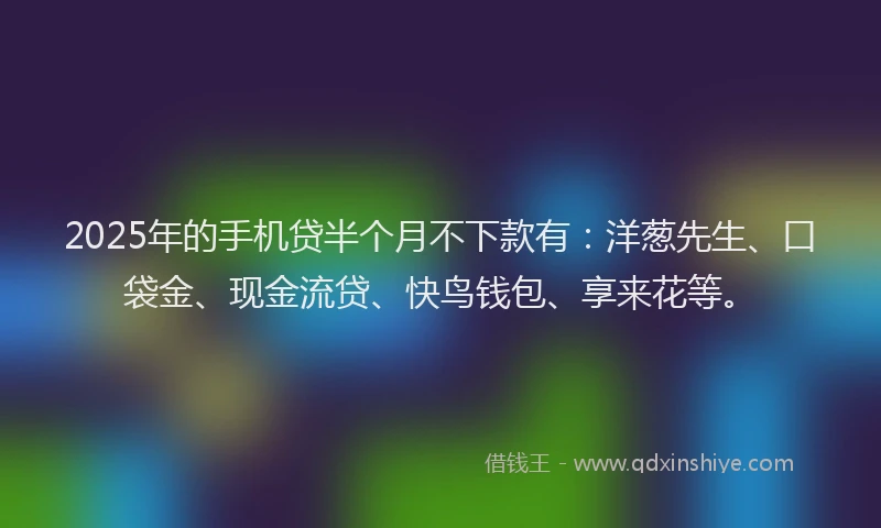 2025年的手机贷半个月不下款有：洋葱先生、口袋金、现金流贷、快鸟钱包、享来花等。