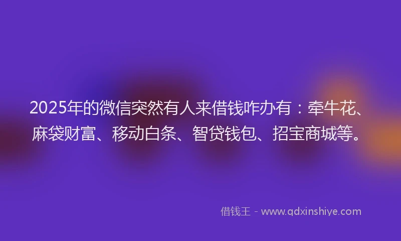 2025年的微信突然有人来借钱咋办有：牵牛花、麻袋财富、移动白条、智贷钱包、招宝商城等。