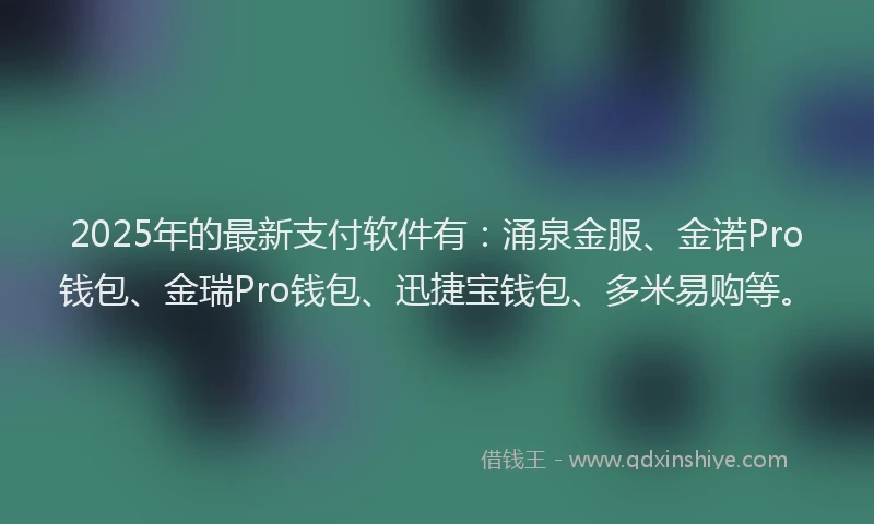 2025年的最新支付软件有：涌泉金服、金诺Pro钱包、金瑞Pro钱包、迅捷宝钱包、多米易购等。