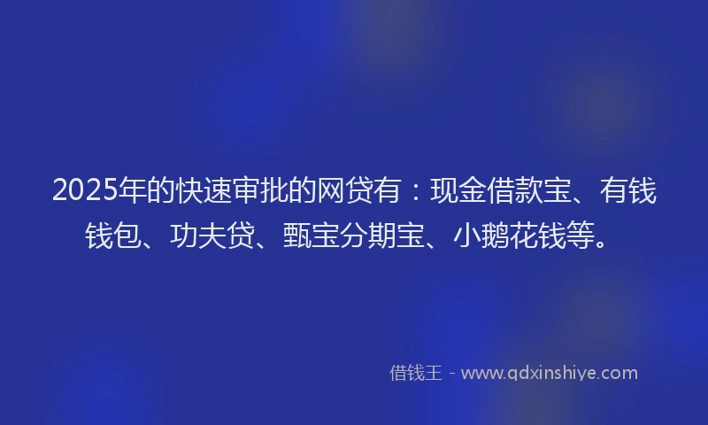 2025年的快速审批的网贷有：现金借款宝、有钱钱包、功夫贷、甄宝分期宝、小鹅花钱等。