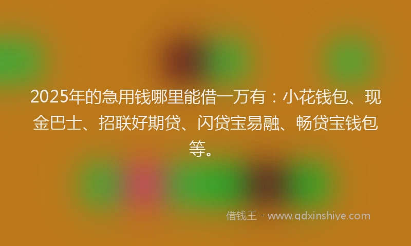 2025年的急用钱哪里能借一万有：小花钱包、现金巴士、招联好期贷、闪贷宝易融、畅贷宝钱包等。